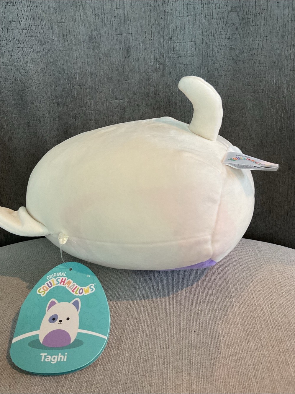NWT Squishmallows Taghi the Bull Terrier Dog 8" Plush – FLAWED - Picture 7 of 10